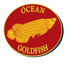 CÔNG TY TNHH LIÊN DOANH THỦY SẢN CHÂU ÂU